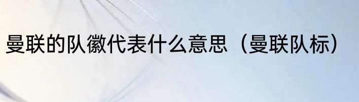 曼联的队徽代表什么意思（曼联队标）