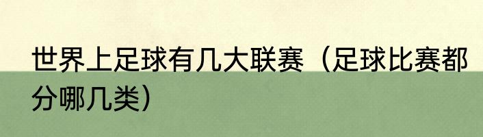 世界上足球有几大联赛（足球比赛都分哪几类）