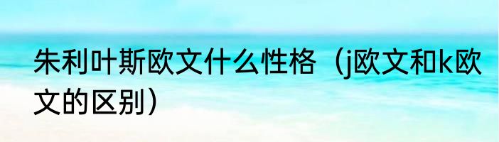 朱利叶斯欧文什么性格（j欧文和k欧文的区别）