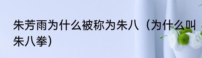 朱芳雨为什么被称为朱八（为什么叫朱八拳）