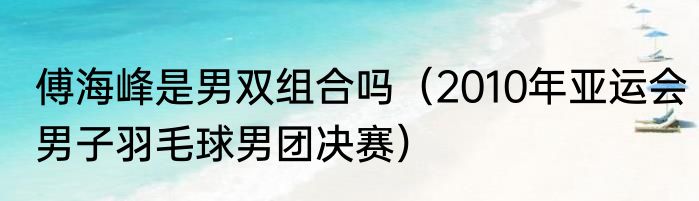 傅海峰是男双组合吗（2010年亚运会男子羽毛球男团决赛）