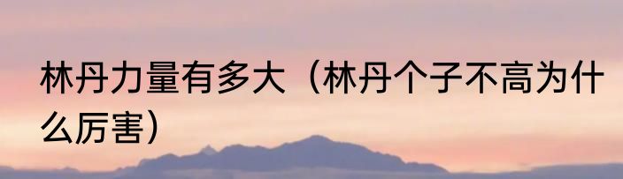 林丹力量有多大（林丹个子不高为什么厉害）
