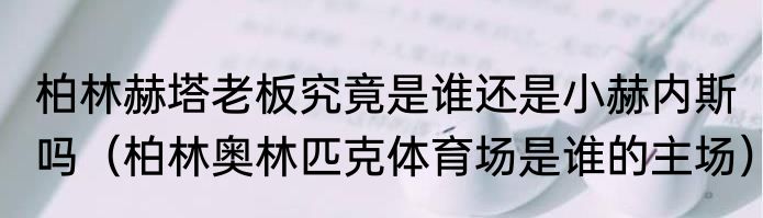 柏林赫塔老板究竟是谁还是小赫内斯吗（柏林奥林匹克体育场是谁的主场）