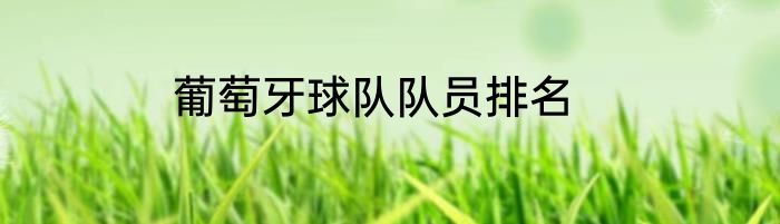 葡萄牙球队队员排名