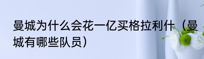 曼城为什么会花一亿买格拉利什（曼城有哪些队员）
