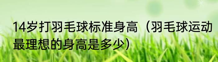 14岁打羽毛球标准身高（羽毛球运动最理想的身高是多少）
