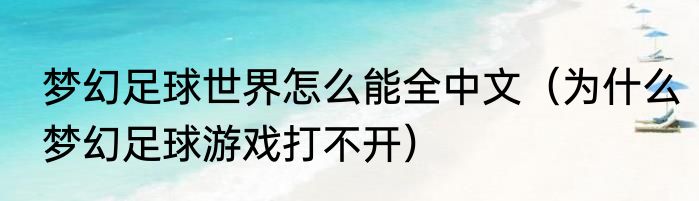 梦幻足球世界怎么能全中文（为什么梦幻足球游戏打不开）
