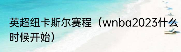 英超纽卡斯尔赛程（wnba2023什么时候开始）