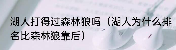 湖人打得过森林狼吗（湖人为什么排名比森林狼靠后）