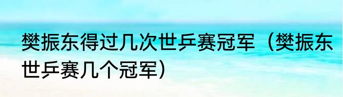 樊振东得过几次世乒赛冠军（樊振东世乒赛几个冠军）
