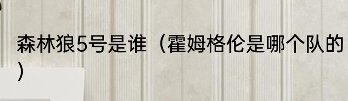 森林狼5号是谁（霍姆格伦是哪个队的）