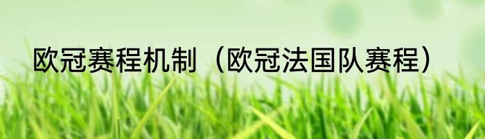 欧冠赛程机制（欧冠法国队赛程）