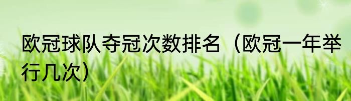 欧冠球队夺冠次数排名（欧冠一年举行几次）