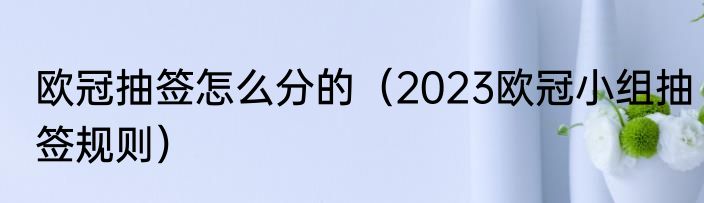 欧冠抽签怎么分的（2023欧冠小组抽签规则）