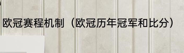 欧冠赛程机制（欧冠历年冠军和比分）