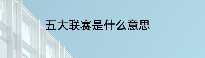 五大联赛是什么意思