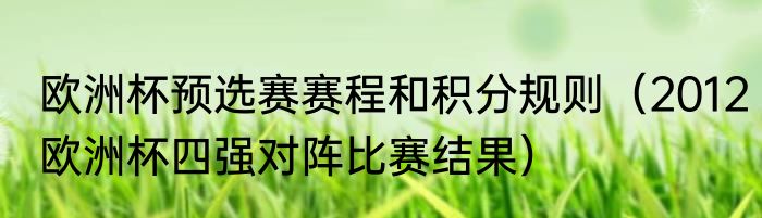 欧洲杯预选赛赛程和积分规则（2012欧洲杯四强对阵比赛结果）