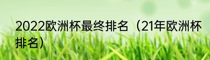 2022欧洲杯最终排名（21年欧洲杯排名）