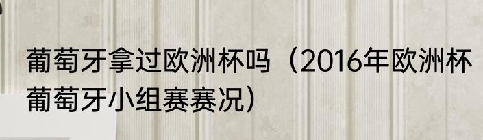 葡萄牙拿过欧洲杯吗（2016年欧洲杯葡萄牙小组赛赛况）