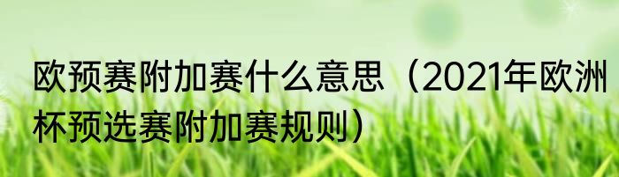 欧预赛附加赛什么意思（2021年欧洲杯预选赛附加赛规则）