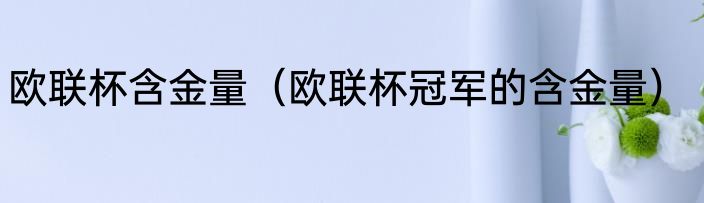 欧联杯含金量（欧联杯冠军的含金量）