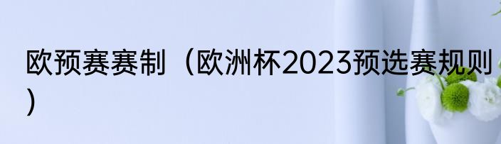 欧预赛赛制（欧洲杯2023预选赛规则）