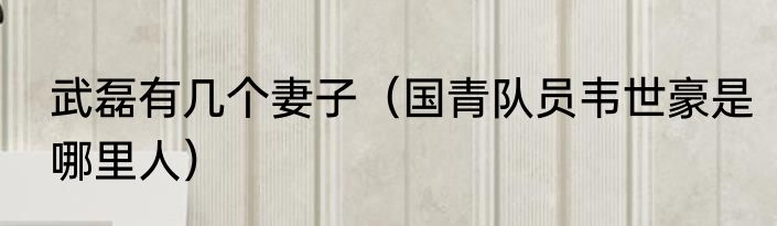 武磊有几个妻子（国青队员韦世豪是哪里人）