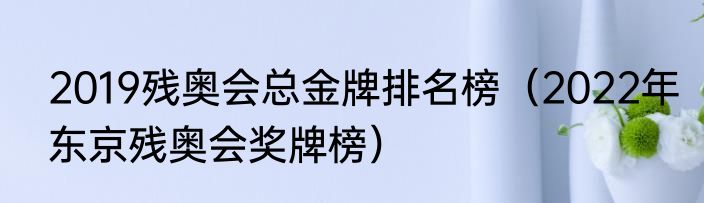 2019残奥会总金牌排名榜（2022年东京残奥会奖牌榜）