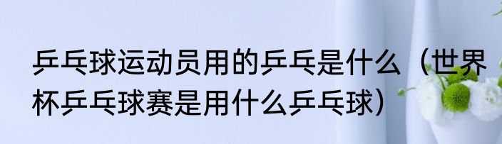 乒乓球运动员用的乒乓是什么（世界杯乒乓球赛是用什么乒乓球）