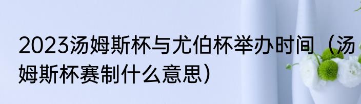 2023汤姆斯杯与尤伯杯举办时间（汤姆斯杯赛制什么意思）