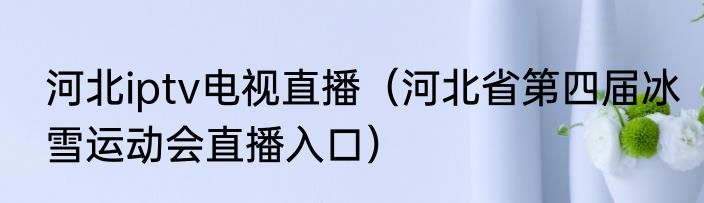 河北iptv电视直播（河北省第四届冰雪运动会直播入口）