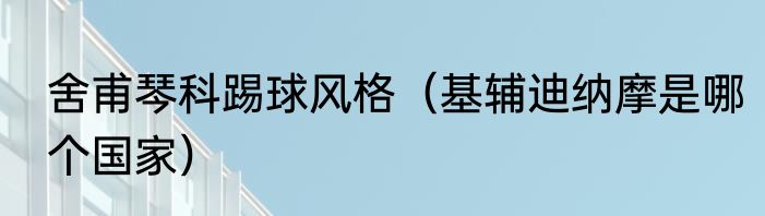 舍甫琴科踢球风格（基辅迪纳摩是哪个国家）