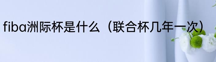 fiba洲际杯是什么（联合杯几年一次）