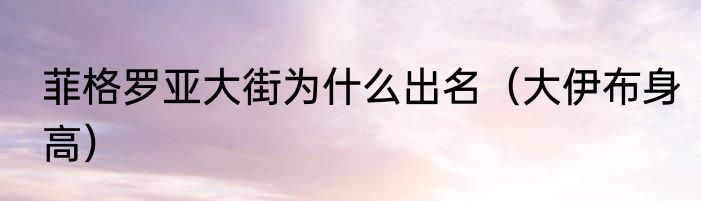 菲格罗亚大街为什么出名（大伊布身高）