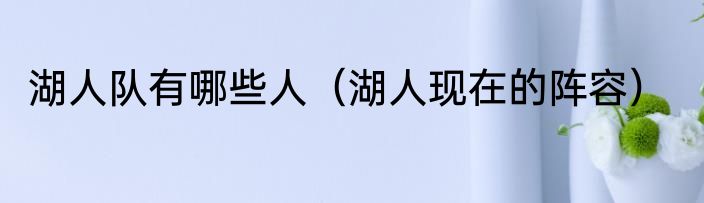 湖人队有哪些人（湖人现在的阵容）