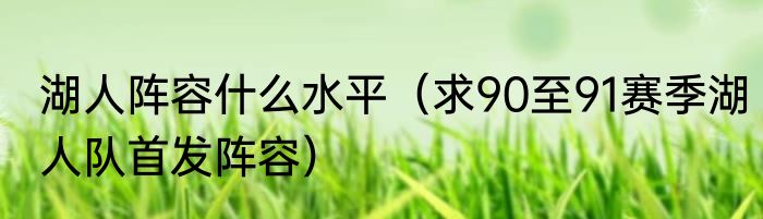 湖人阵容什么水平（求90至91赛季湖人队首发阵容）