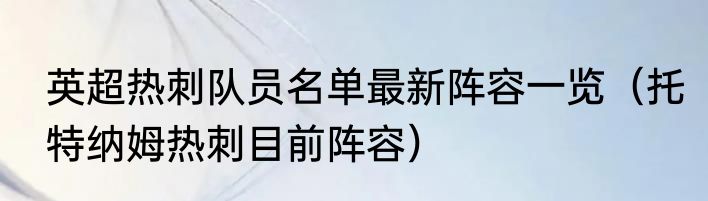 英超热刺队员名单最新阵容一览（托特纳姆热刺目前阵容）