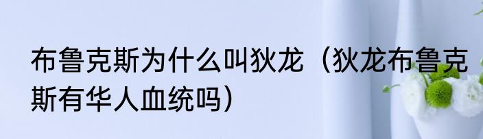 布鲁克斯为什么叫狄龙（狄龙布鲁克斯有华人血统吗）