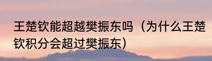 王楚钦能超越樊振东吗（为什么王楚钦积分会超过樊振东）