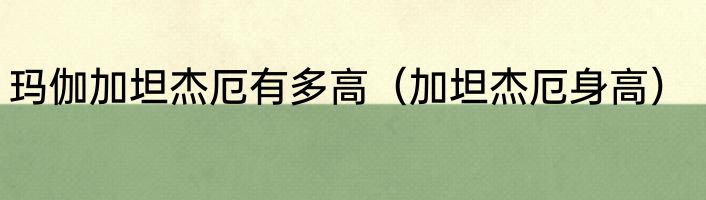 玛伽加坦杰厄有多高（加坦杰厄身高）