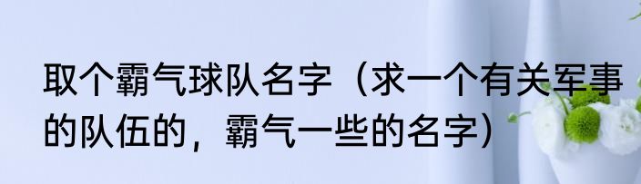 取个霸气球队名字（求一个有关军事的队伍的，霸气一些的名字）