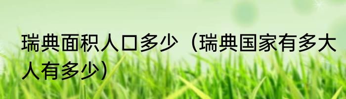 瑞典面积人口多少（瑞典国家有多大人有多少）