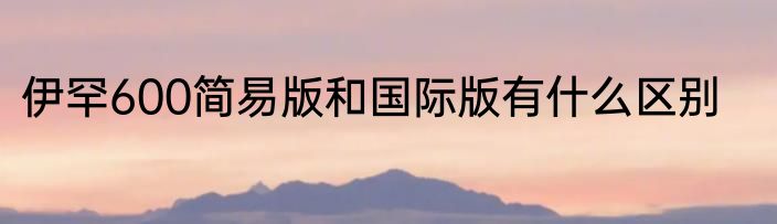 伊罕600简易版和国际版有什么区别
