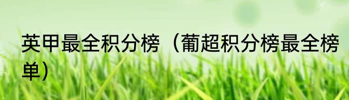 英甲最全积分榜（葡超积分榜最全榜单）