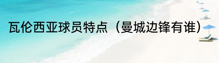 瓦伦西亚球员特点（曼城边锋有谁）
