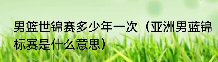 男篮世锦赛多少年一次（亚洲男蓝锦标赛是什么意思）