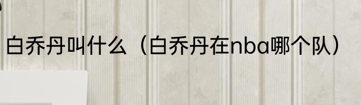白乔丹叫什么（白乔丹在nba哪个队）