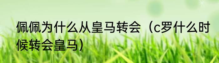 佩佩为什么从皇马转会（c罗什么时候转会皇马）