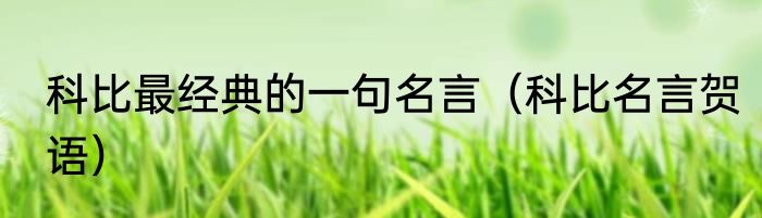 科比最经典的一句名言（科比名言贺语）