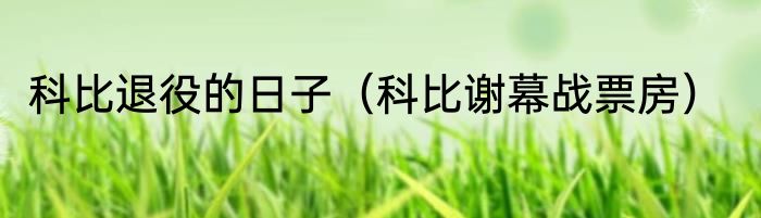 科比退役的日子（科比谢幕战票房）